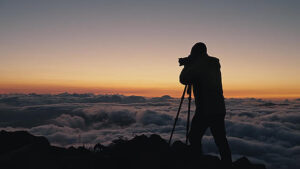 『万事快調〈オール・グリーンズ〉』2026/2/7（土）〜2/27（金）